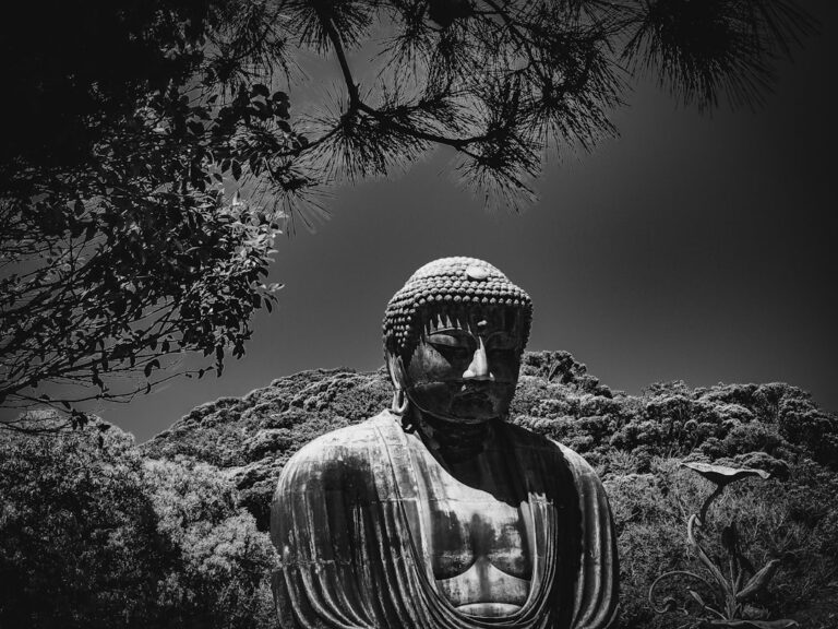 Photo buddhism stoicism