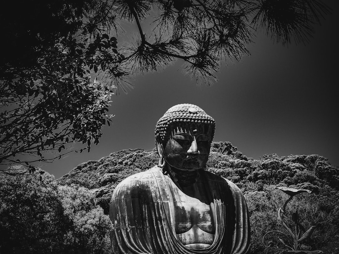 Photo buddhism stoicism