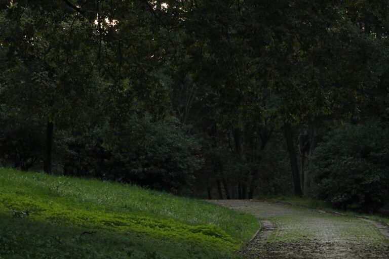 Photo stoic principles