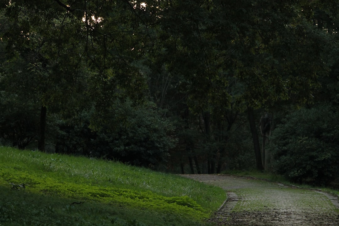 Photo stoic principles